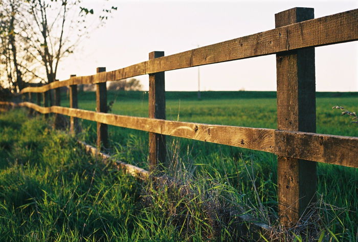 How to Tell When You Need a New Fence