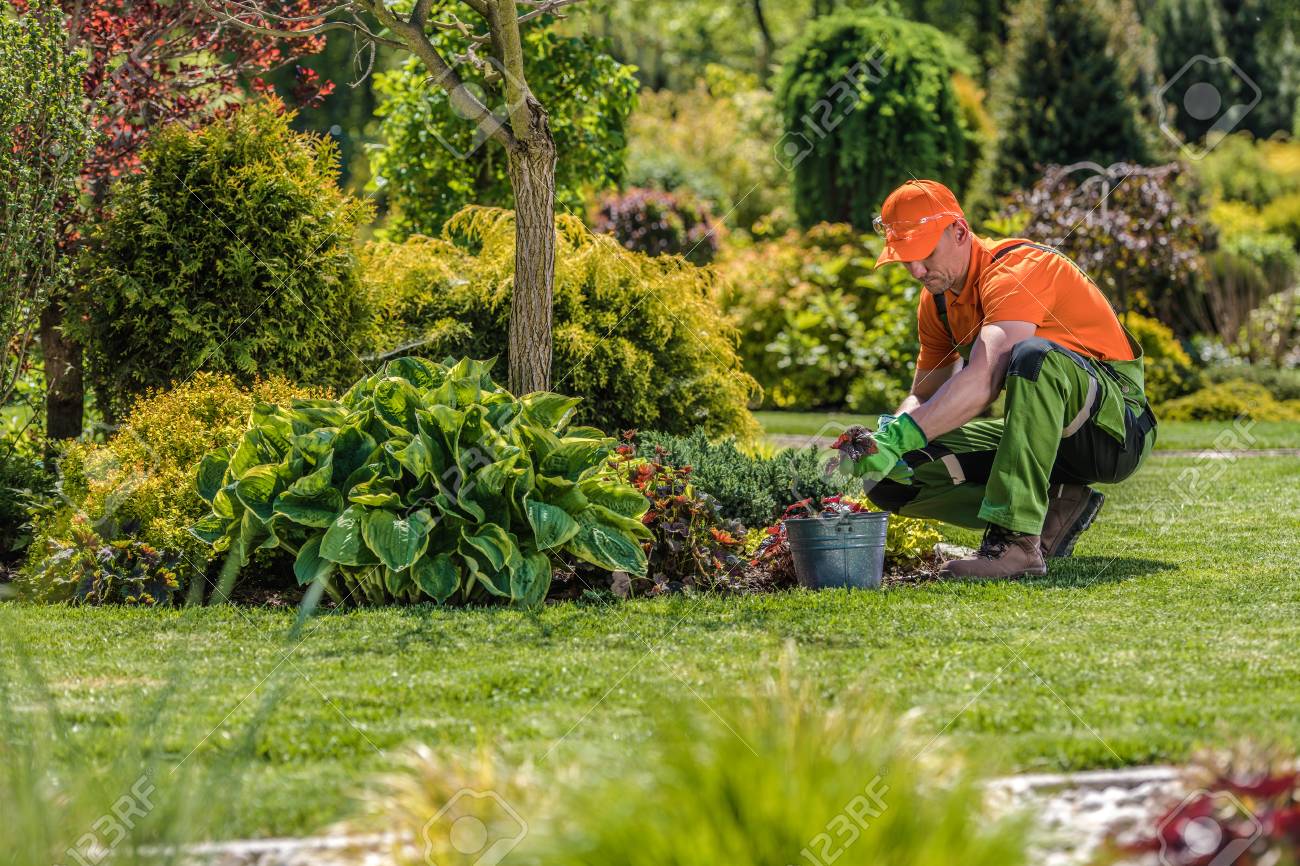 Strata Garden Maintenance