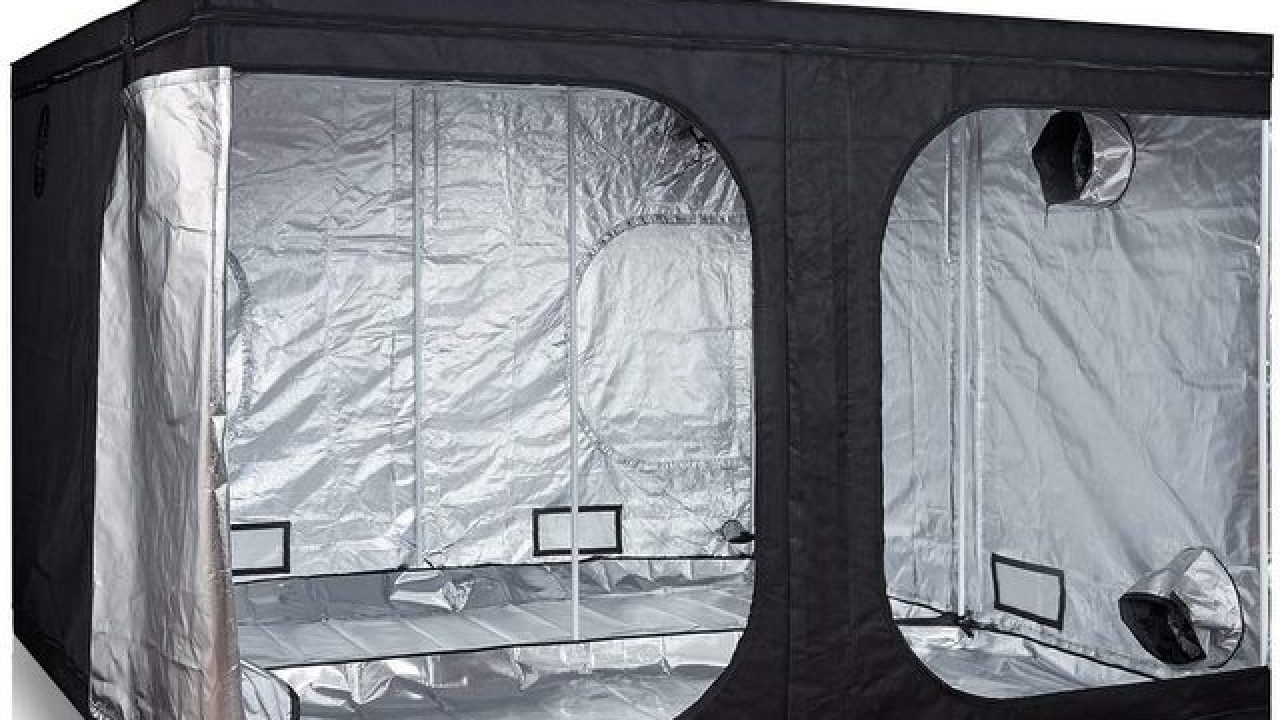 Grow tents online