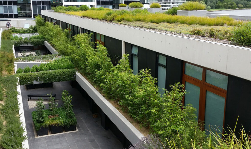 What Are The Benefits Of A Green Roof?