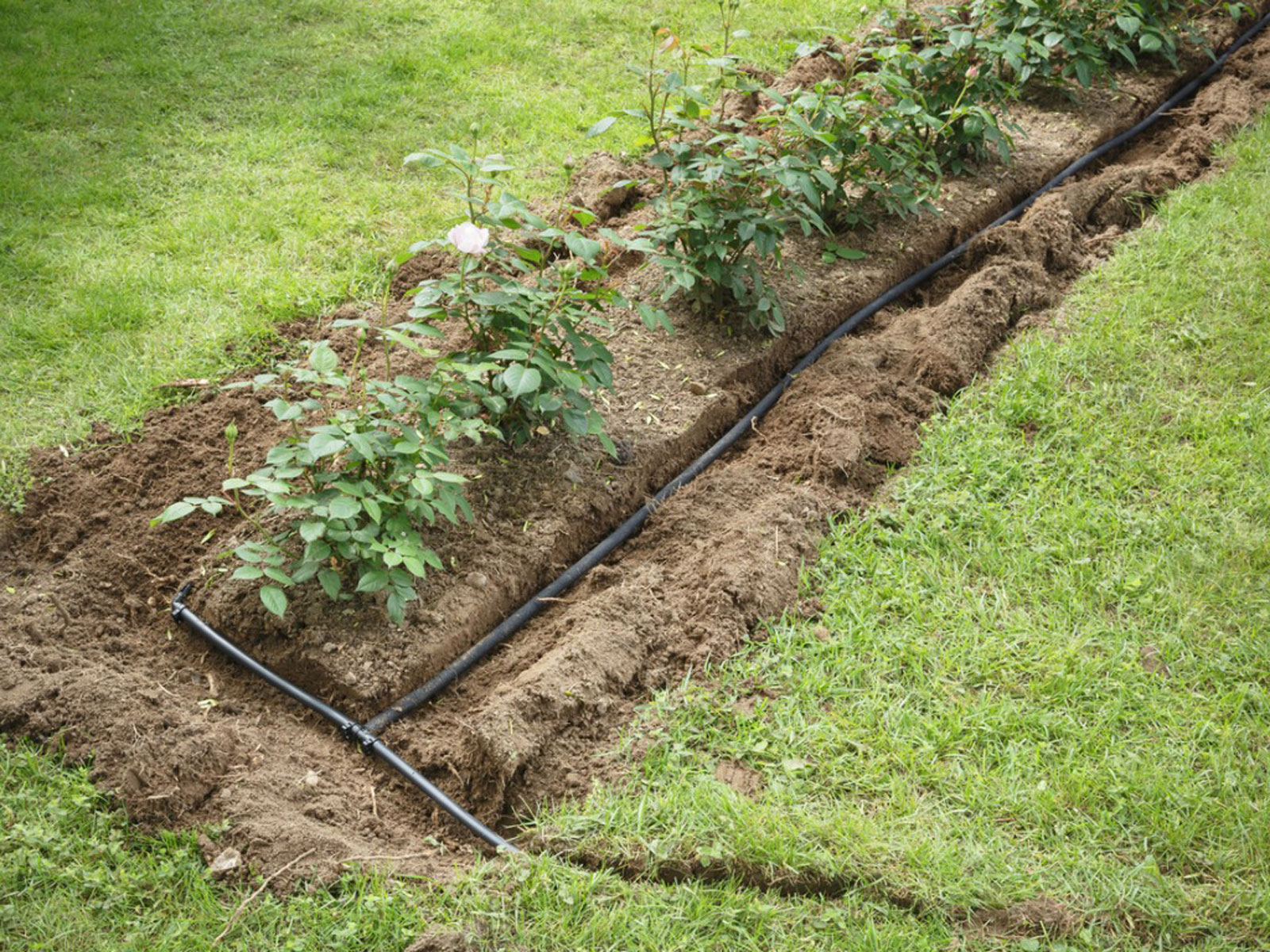 garden sprinkler system