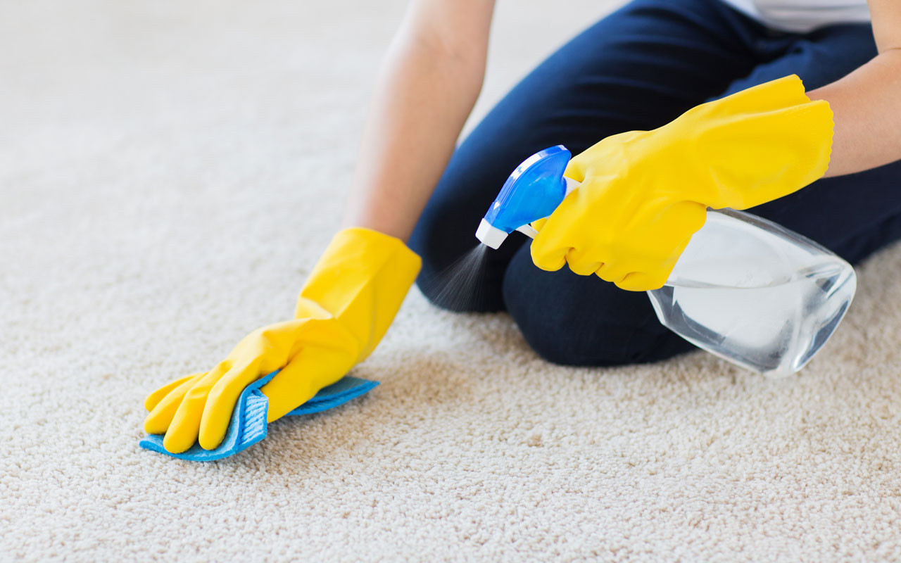 same day carpet cleaning Perth