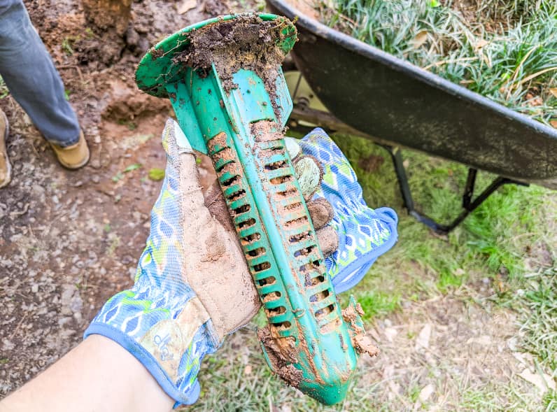 termite baiting systems in Pottsville