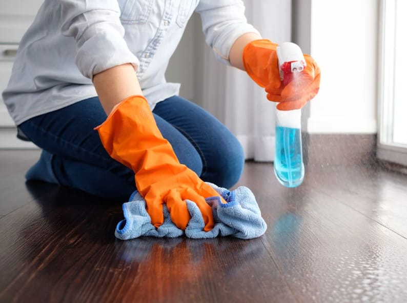 house cleaning in Hamilton