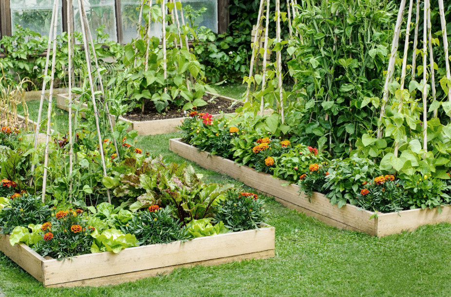 garden bed