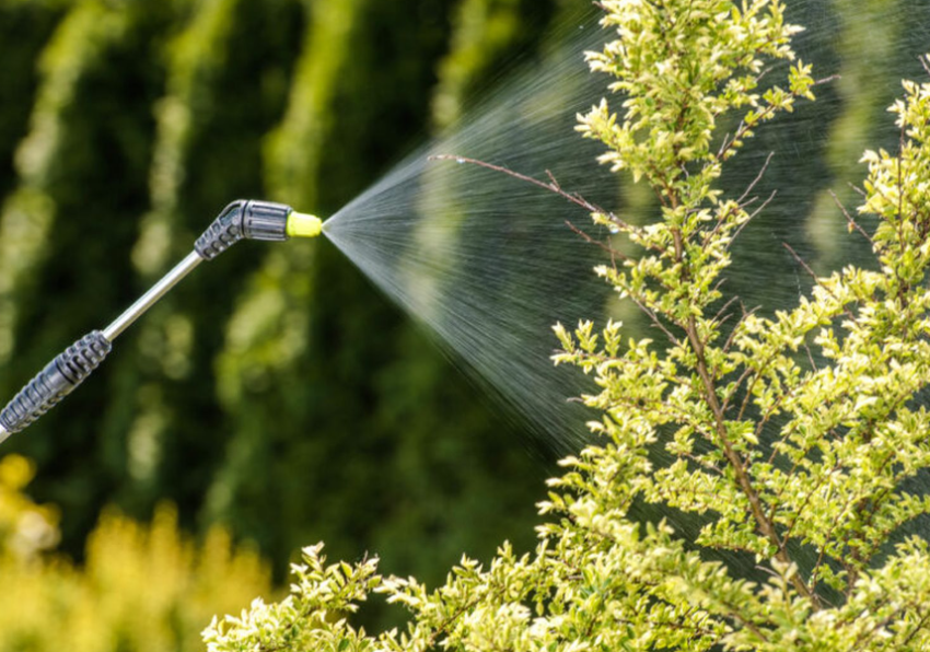 pest control in Palmerston North