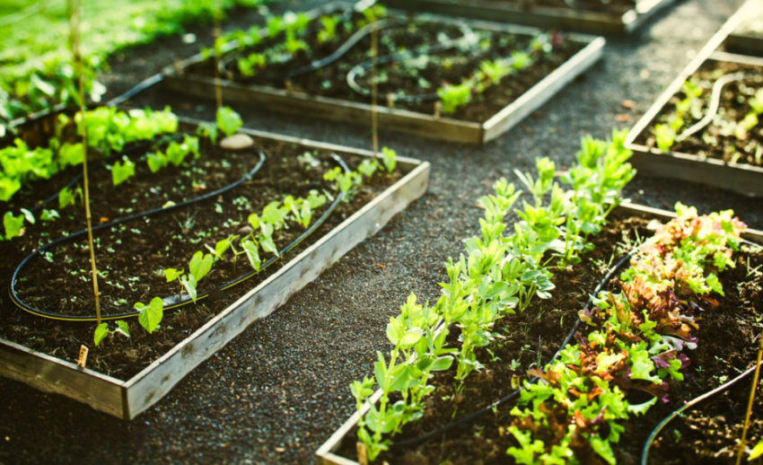 garden irrigation system