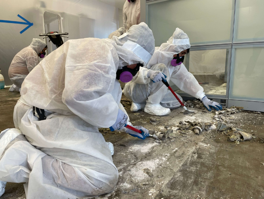 asbestos removal in Christchurch